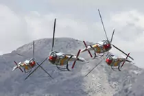 Patrulla ASPA