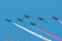 Saudi Hawks