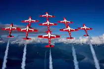 Snow Birds