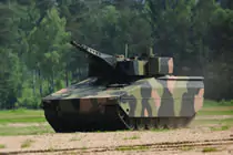 Lynx