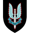 Special Air Service