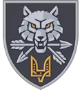 Special Operations Forces (SSO)